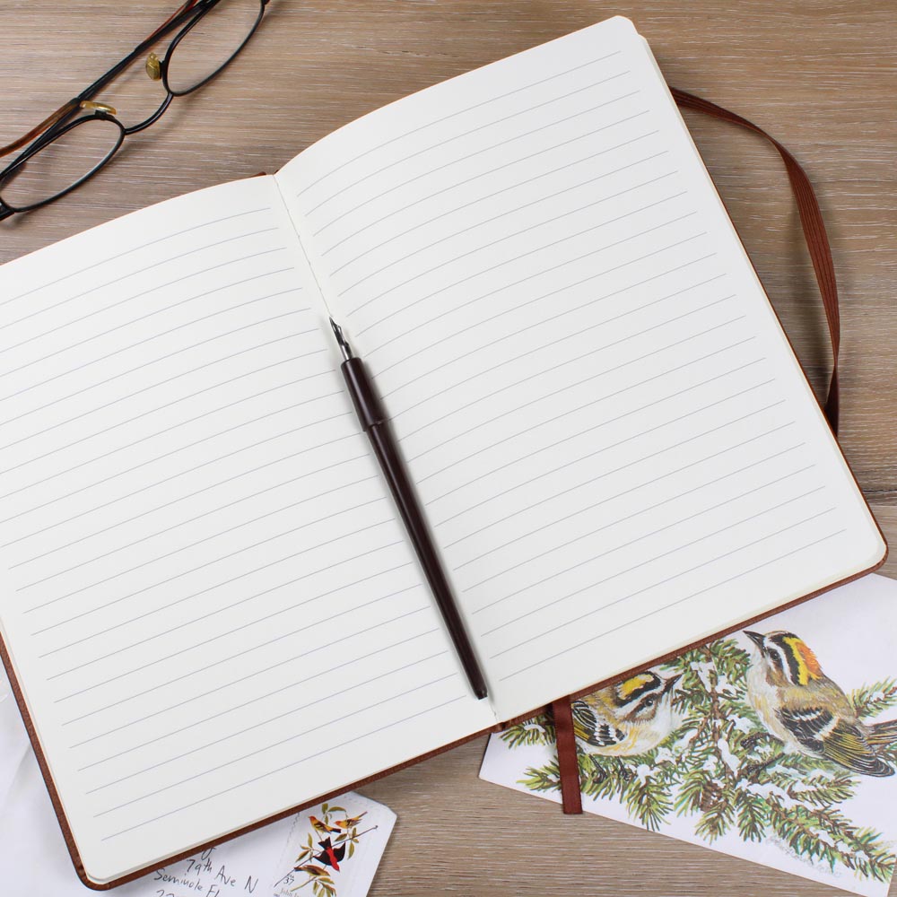 My Emotional Support Notebook – Funny Recovery Journal & Sobriety Gift