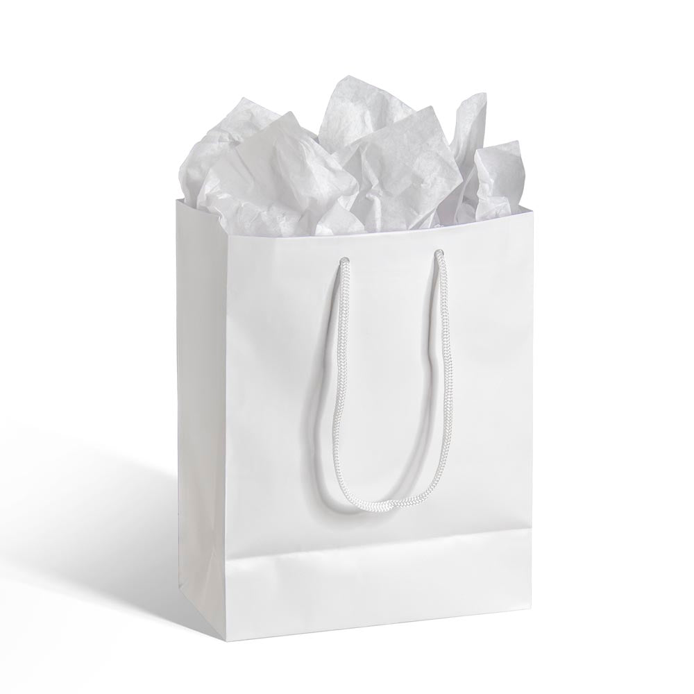 Medium white gift bag with twisted rope handles and crinkle tissue paper stuffing