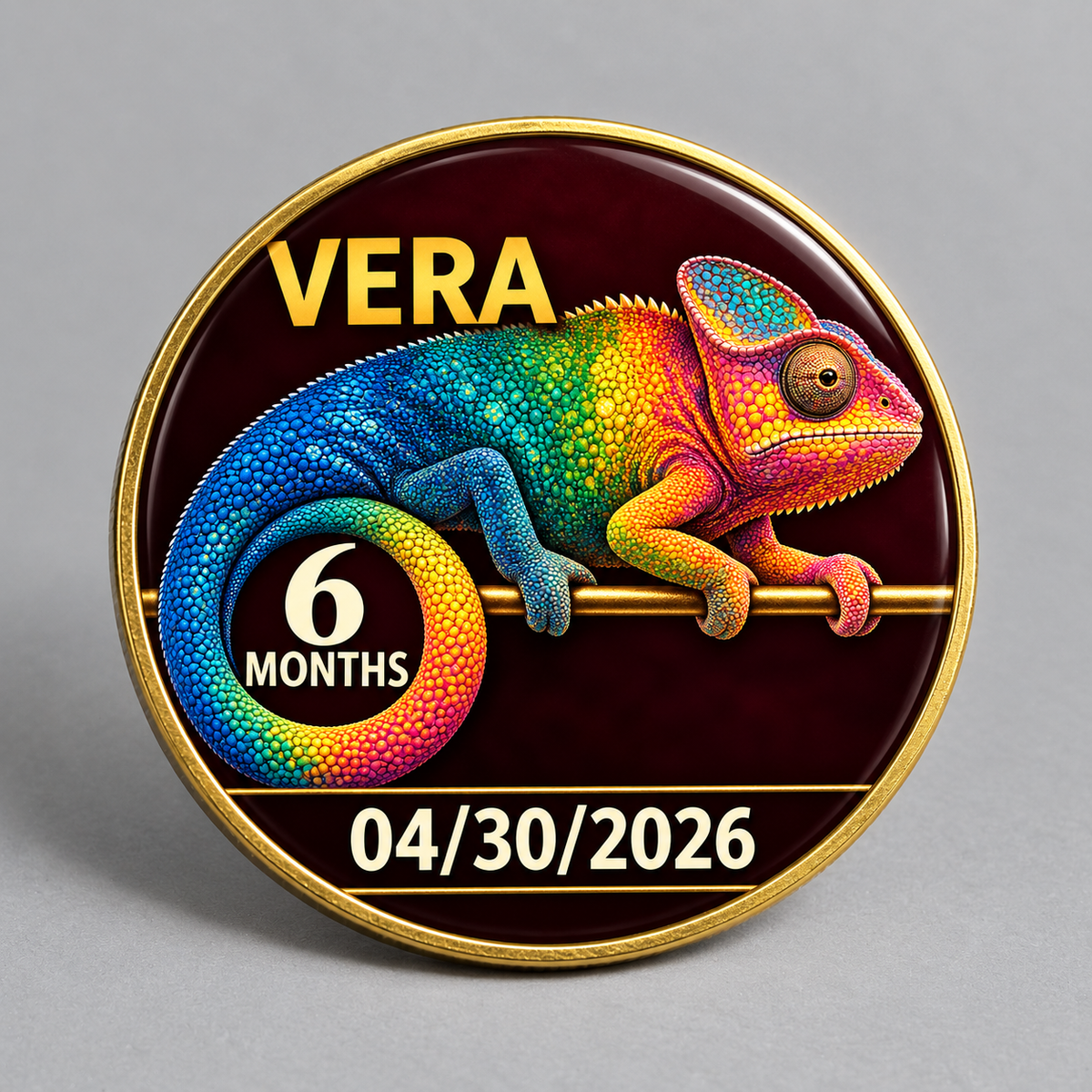 Gold recovery coin with a colorful chameleon, six-month milestone, name, and date